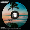 Mental Divergence (Cora.l Remix) OVER HOUSE RECORDS