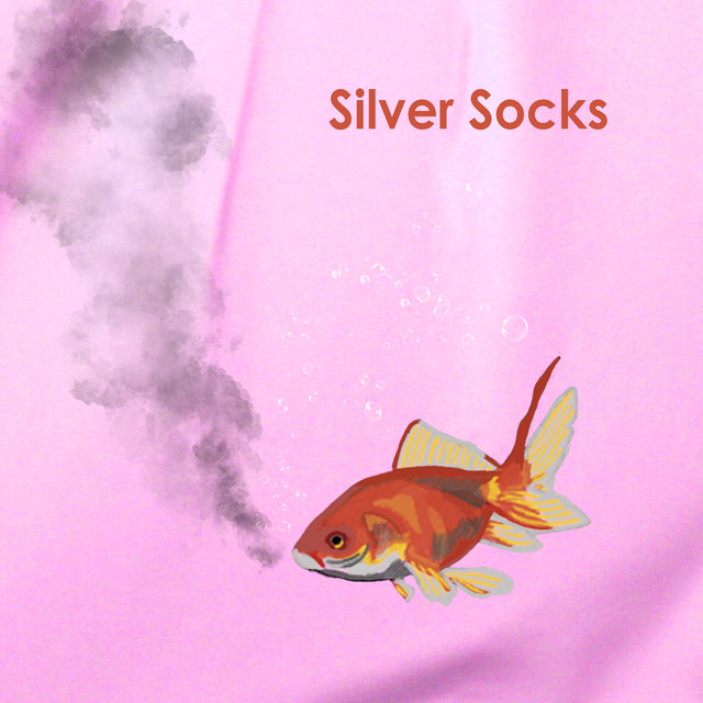 Silver Socks